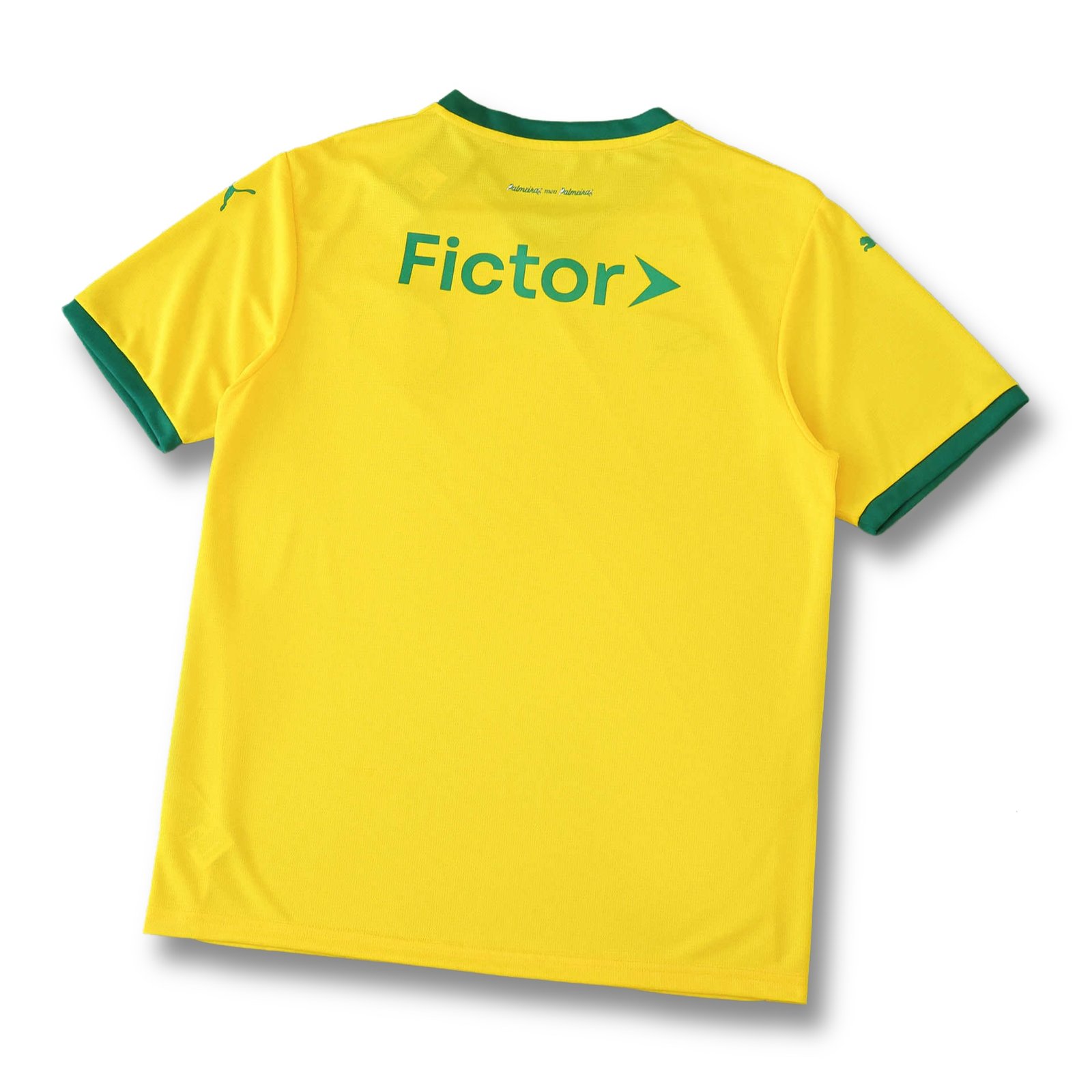 Palmeiras III - 2025/26 - Imagem 5