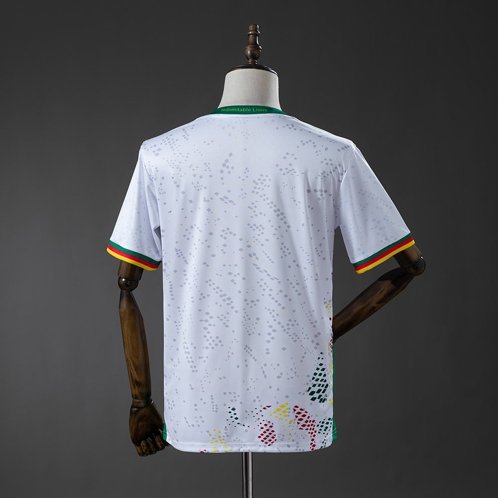 Camarões II - 2026 - Imagem 2